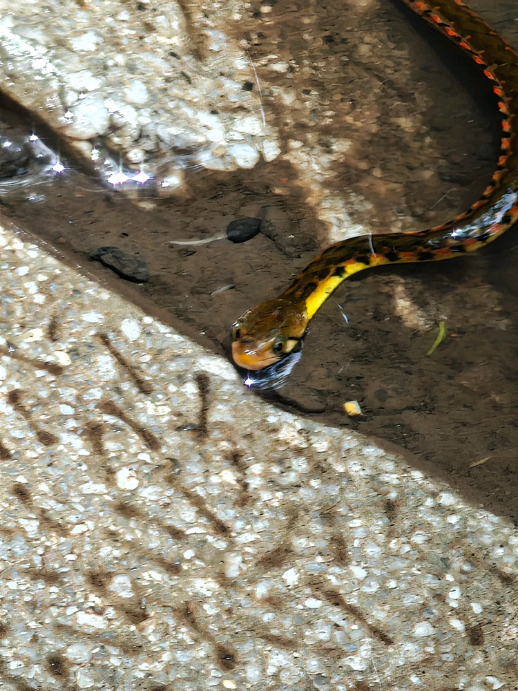 Image uploaded by Shiv