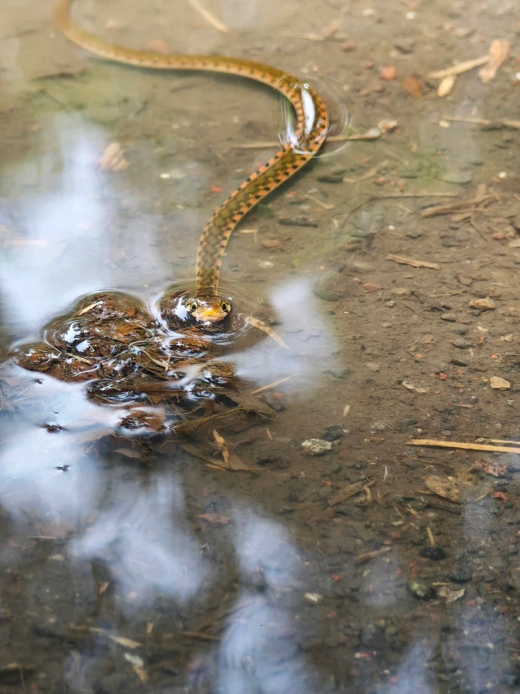 Image uploaded by Shiv