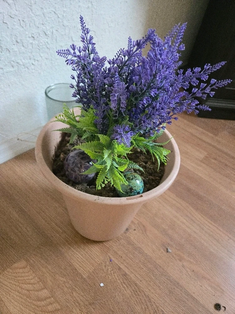GIF uploaded by Lune