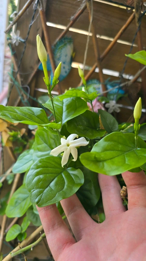 GIF diunggah dening Kostas