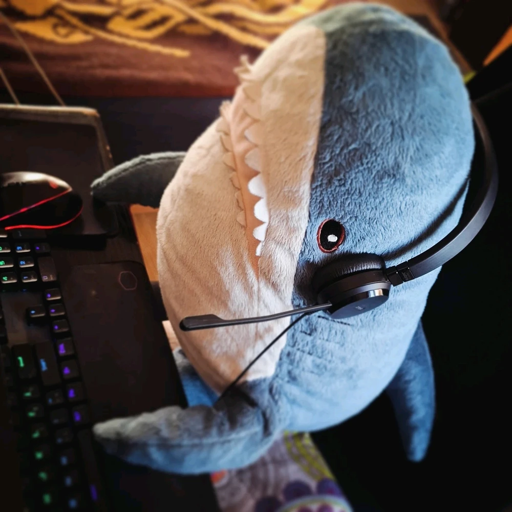 Kameh által feltöltött GIF