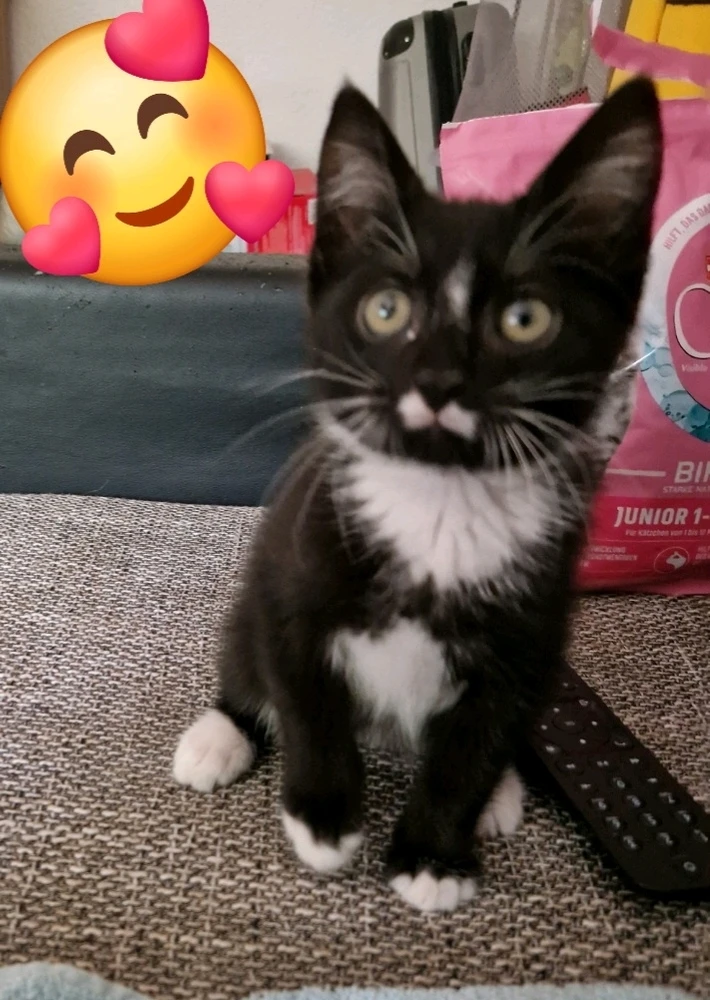 GIF hochgeladen von Theo