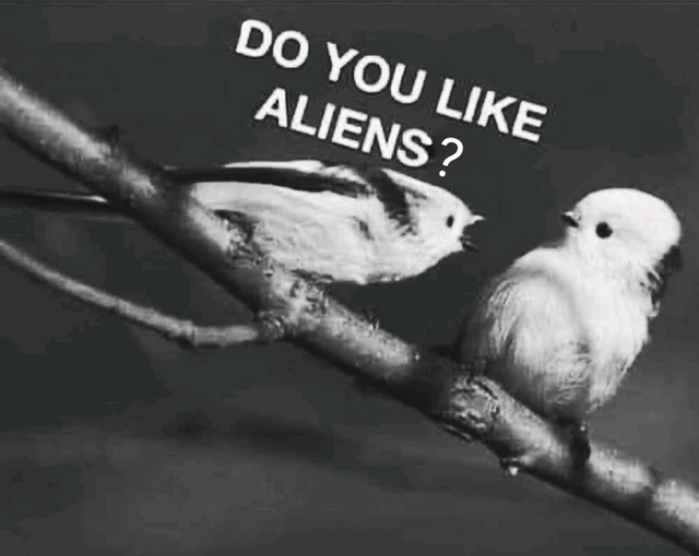 GIF hochgeladen von Doris