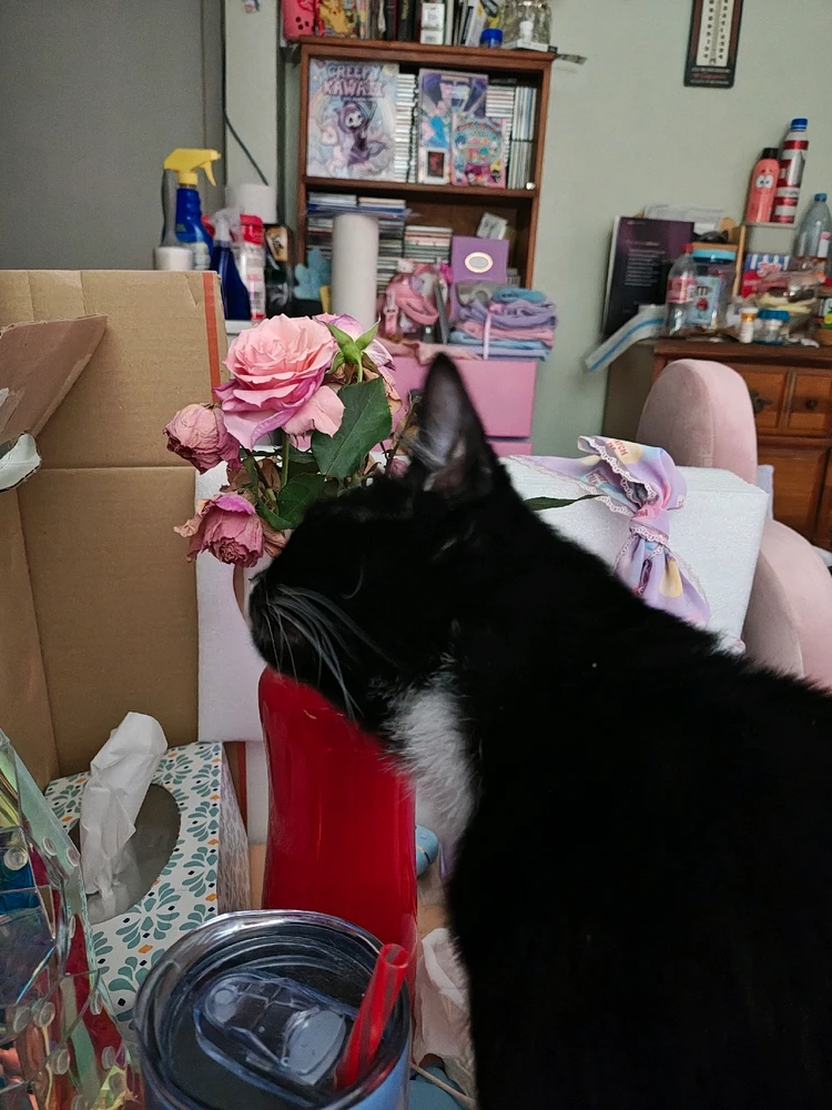 GIF uploaded by Anastasia