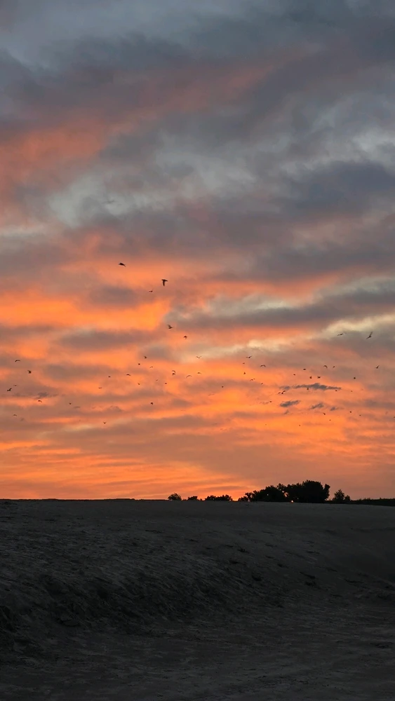 GIF uploaded by Eddie