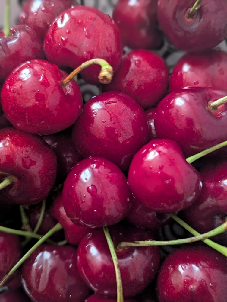 GIF hochgeladen von Iri