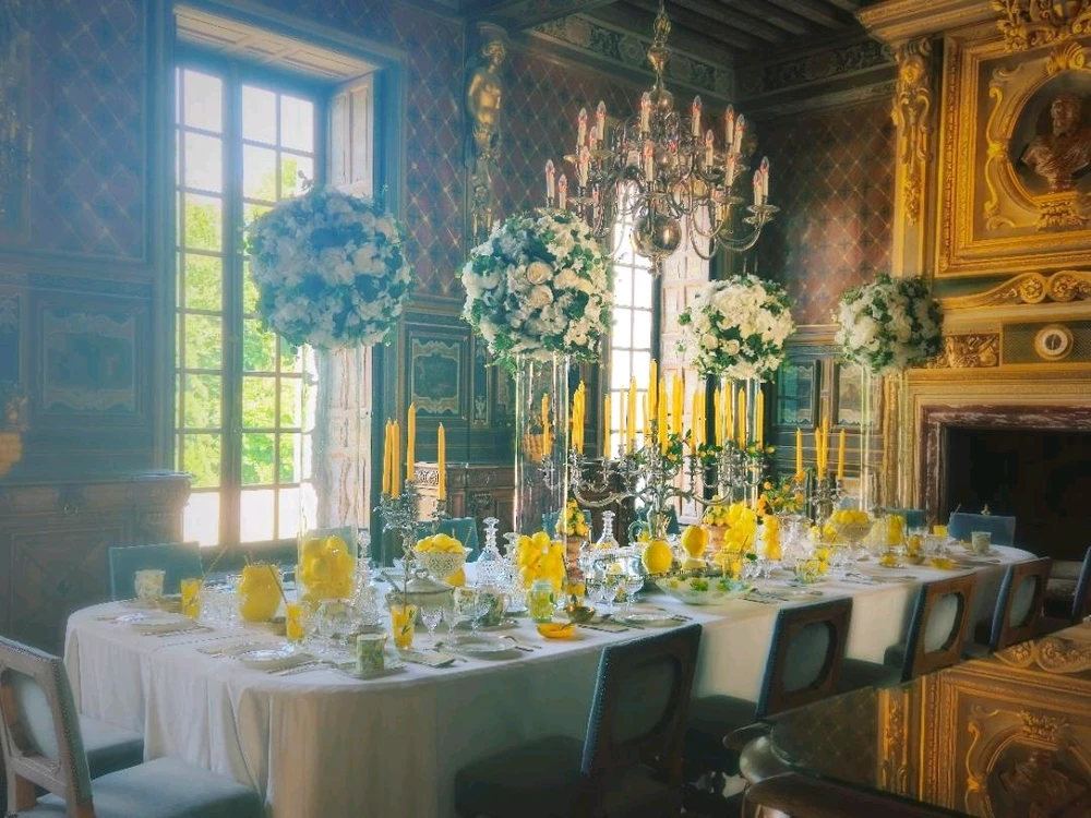 Le château de Cheverny🤴👸🦌🌳⚘️