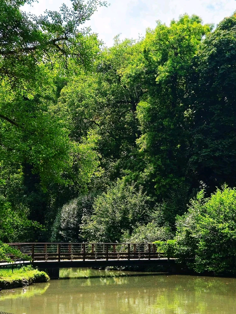 Le château de Cheverny🤴👸🦌🌳⚘️