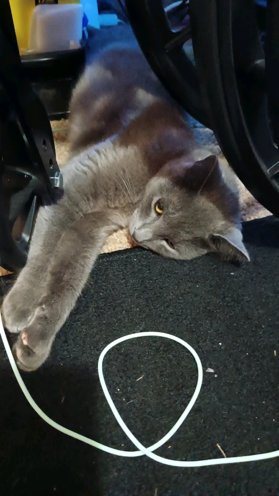 Image uploaded by Rhys