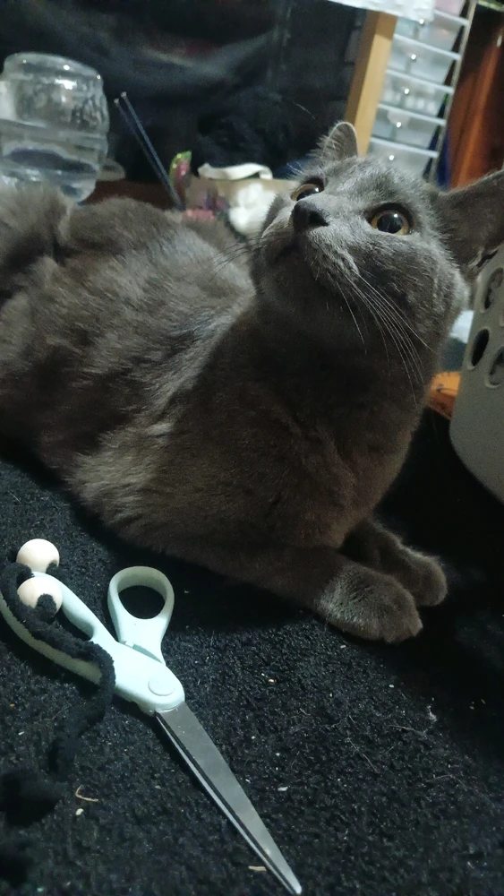 Image uploaded by Rhys