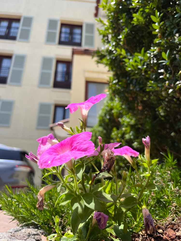 GIF uploaded by Asger