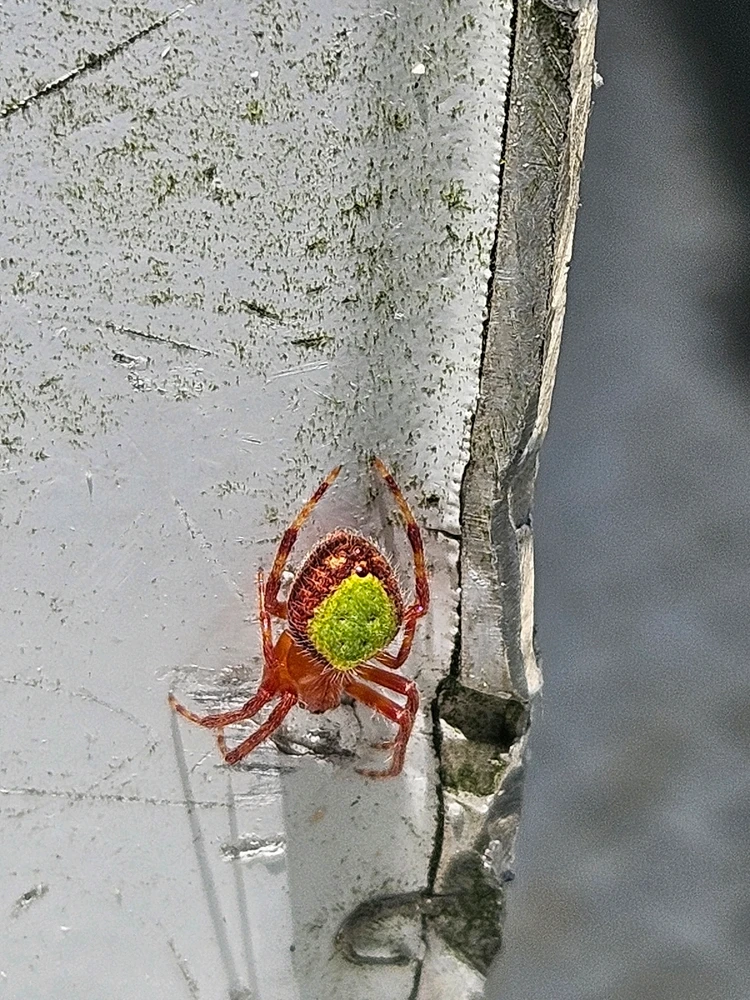 Image uploaded by 《 Ż Δ Ð Ξ 》 ☯️