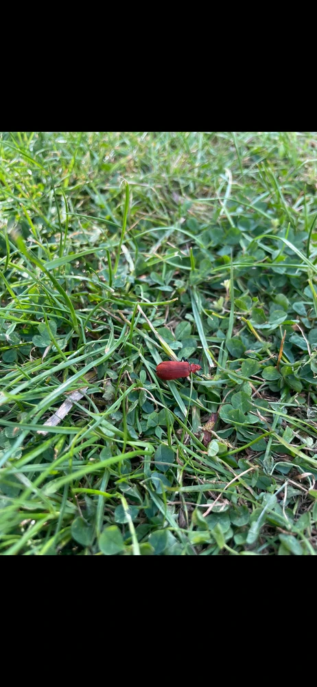 GIF uploaded by Leesha