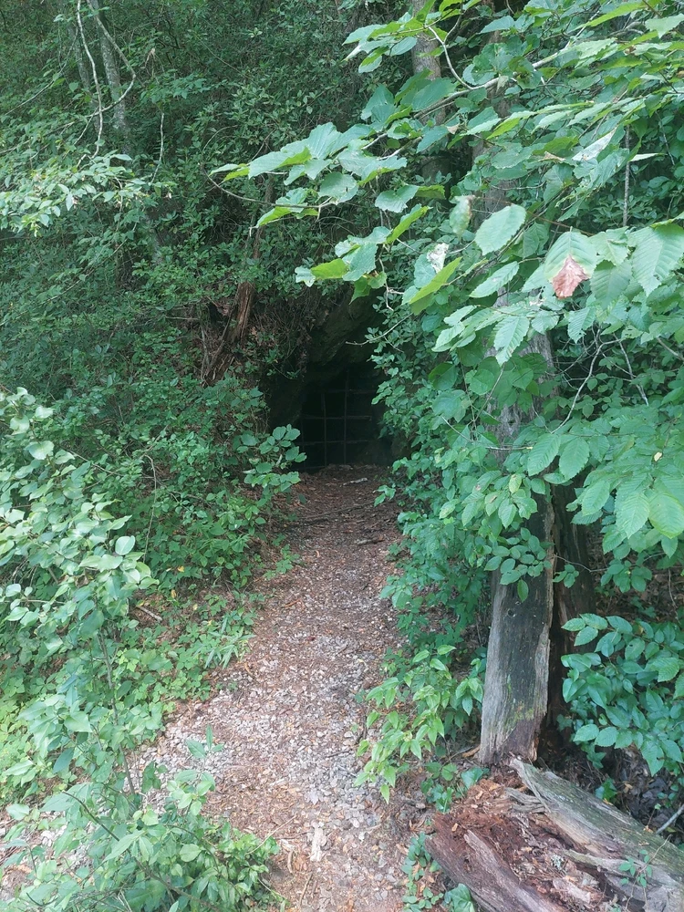 GIF uploaded by Jonathan