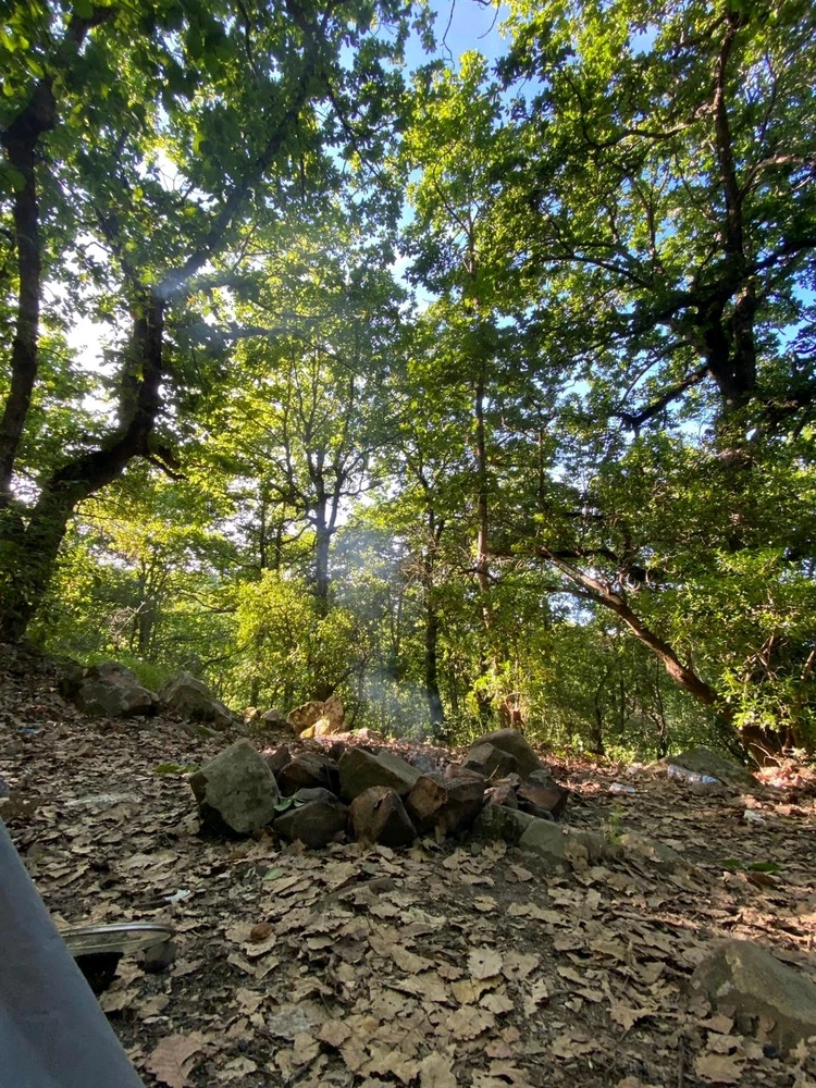 Image ajoutée par Mohamed issaoui