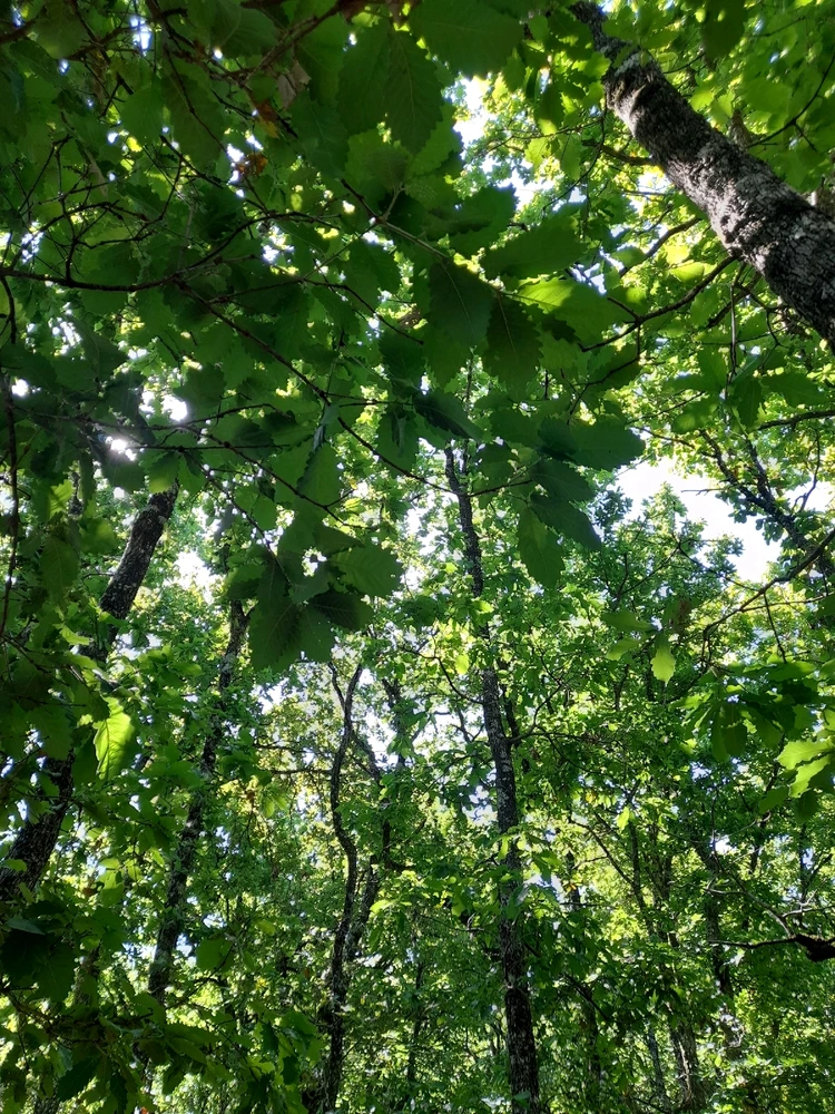 Image ajoutée par Mohamed issaoui