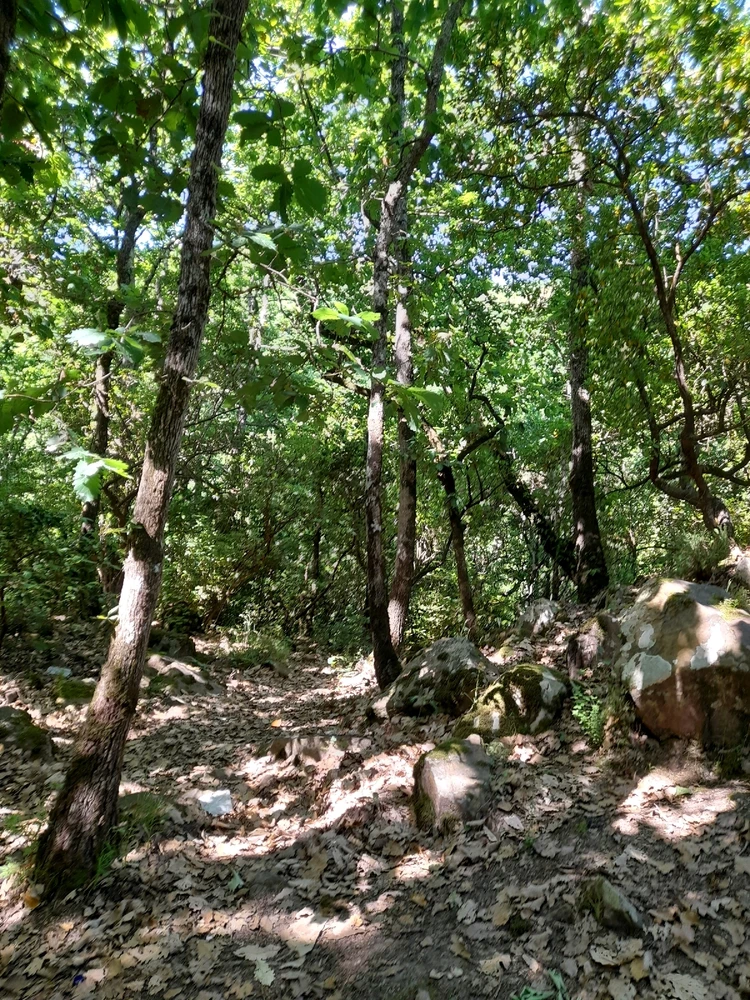 Image ajoutée par Mohamed issaoui