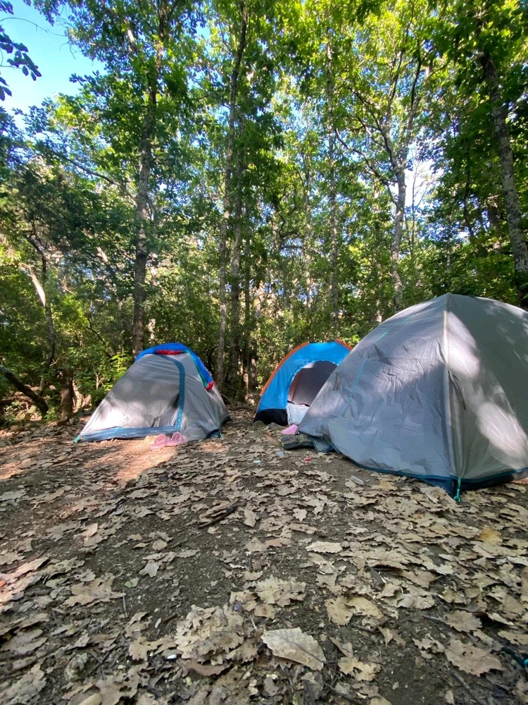 Image ajoutée par Mohamed issaoui