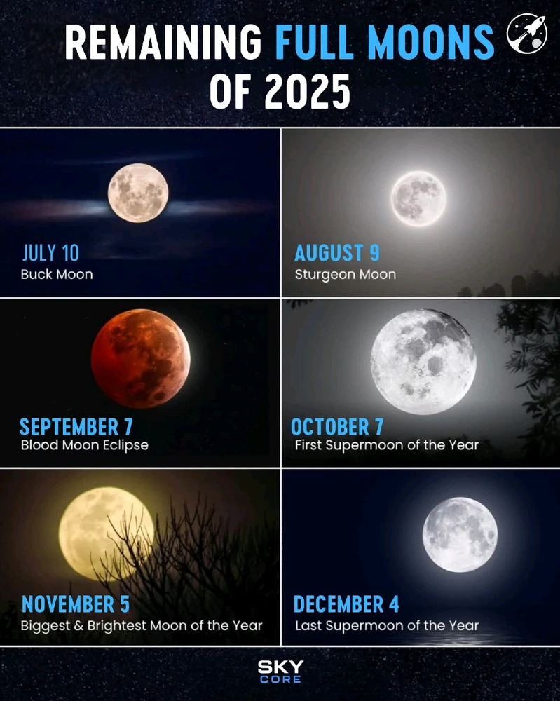 GIF uploaded by 💜J💜o💜e💜y💜