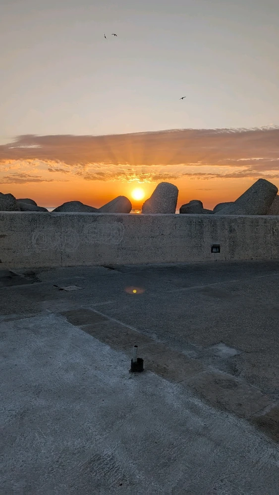 GIF caricata da Stefano