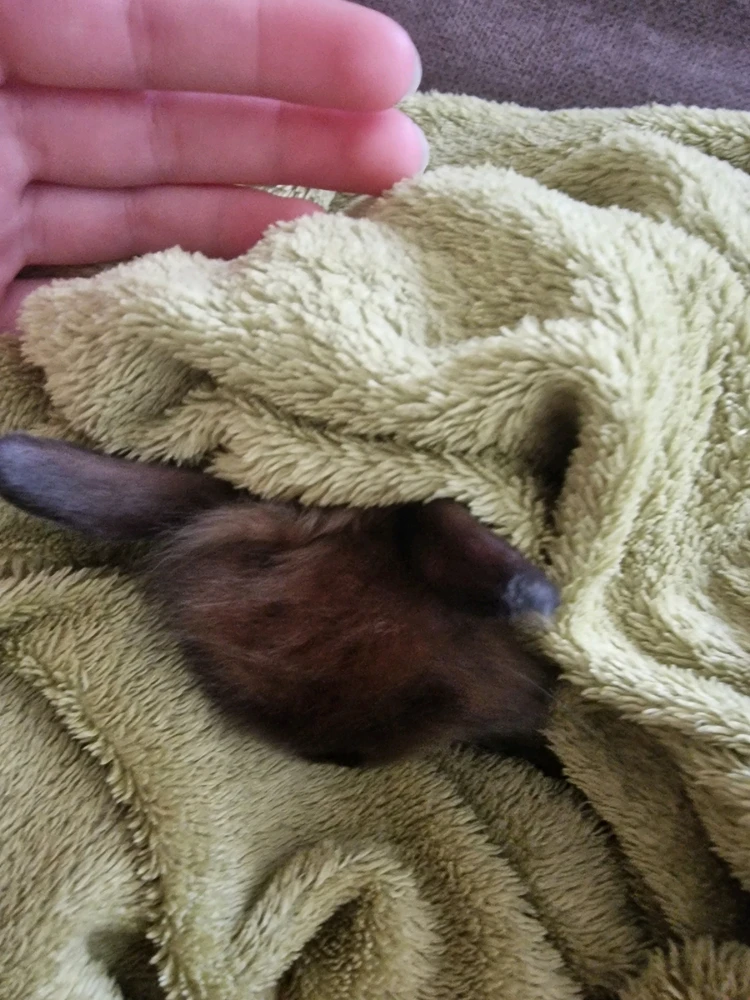 Bild hochgeladen von Ocho