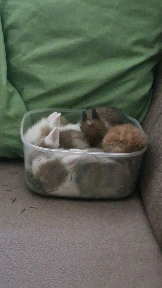 Bild hochgeladen von Ocho