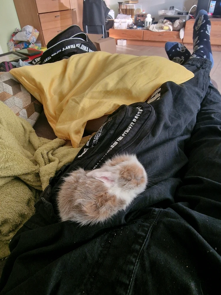 Bild hochgeladen von Ocho