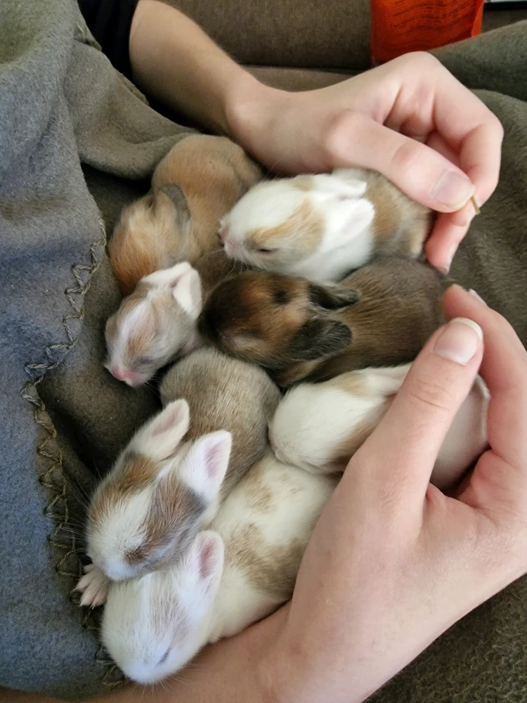 Bild hochgeladen von Ocho