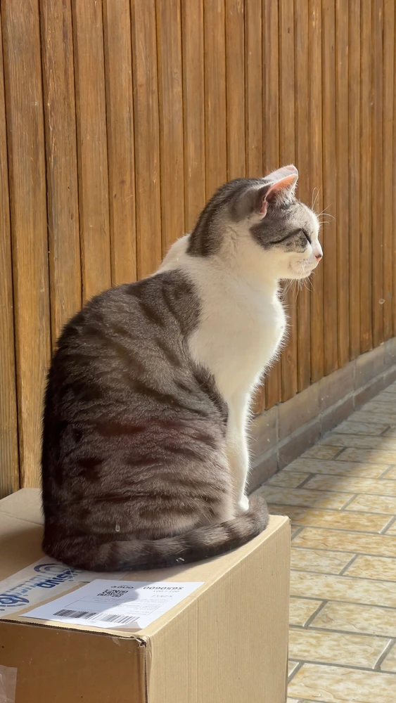 Obrázek nahrál Filip