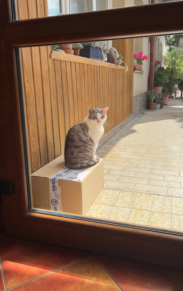 Obrázek nahrál Filip