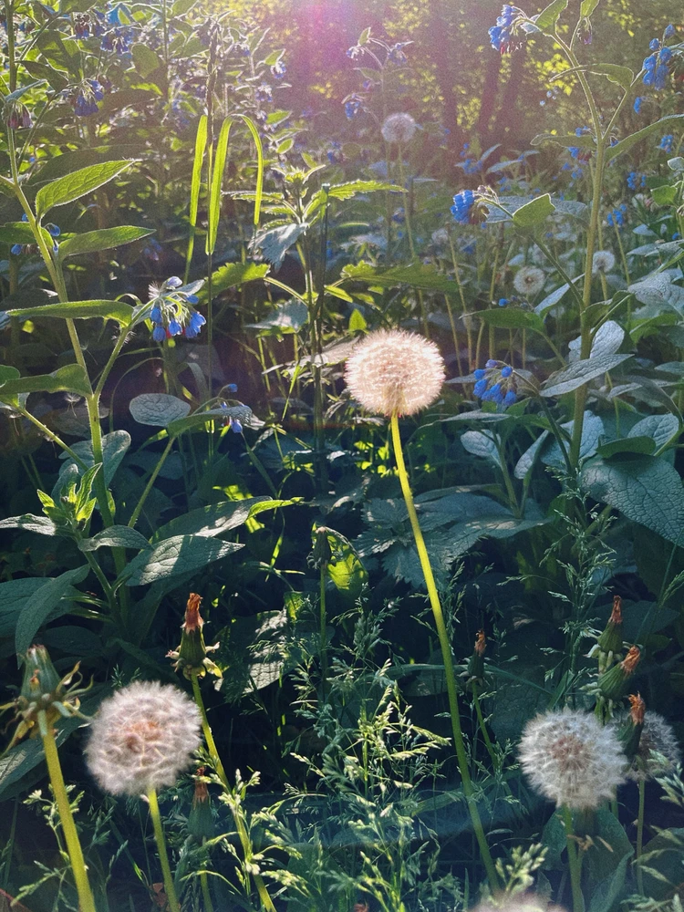 GIF uploaded by Lyubov