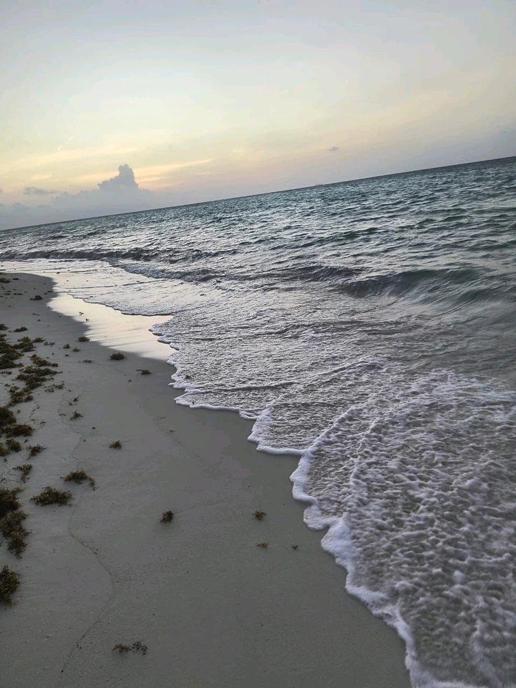 Image uploaded by Djorkaeff