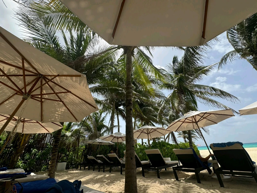 Image uploaded by Djorkaeff