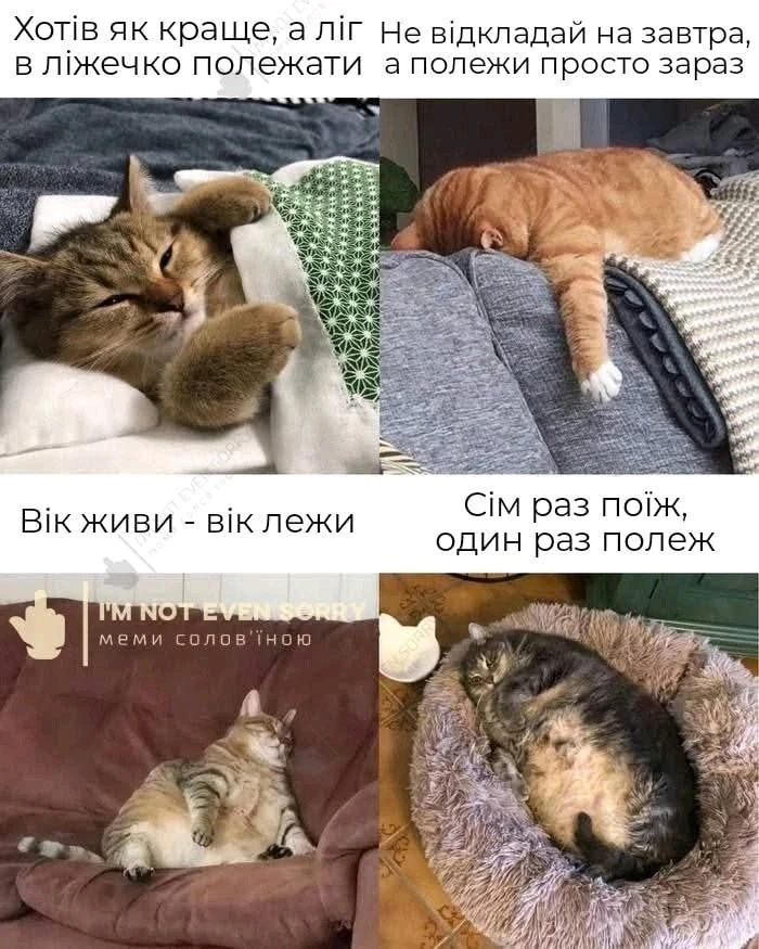 Гіфку завантажив Anna