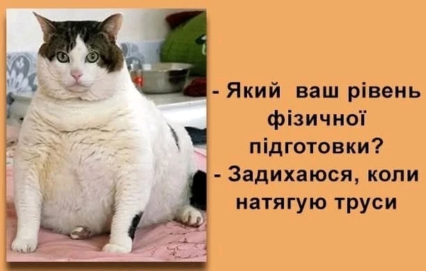 Гіфку завантажив Anna