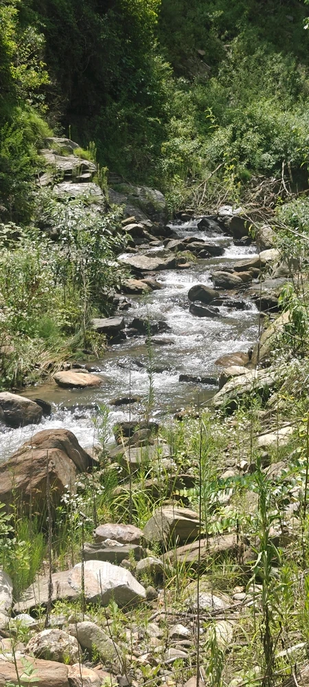 Image uploaded by aryan shyam