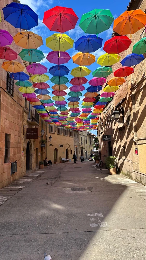 Fotku nahral/-a Martin