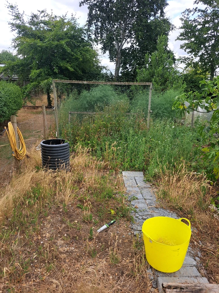 Image uploaded by JD