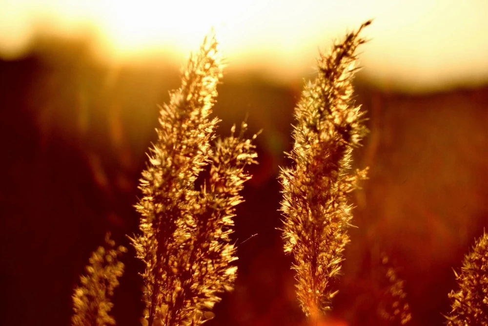 Image uploaded by Katyusha