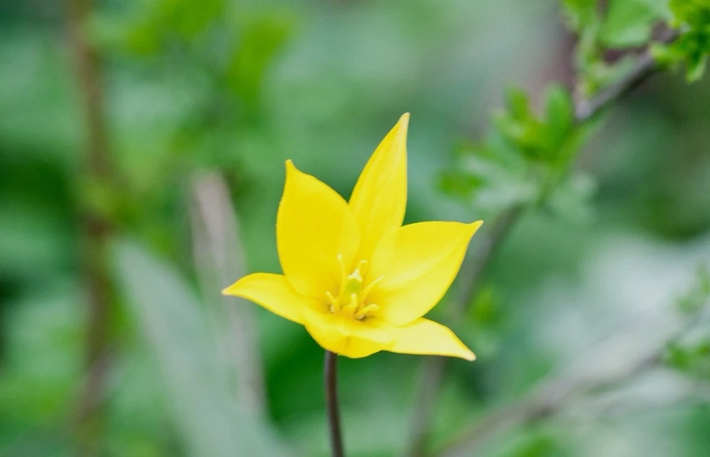 Image uploaded by Katyusha