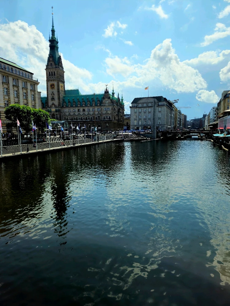 Image uploaded by Darius