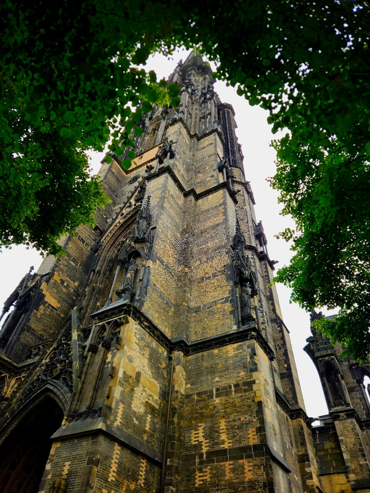 Image uploaded by Darius