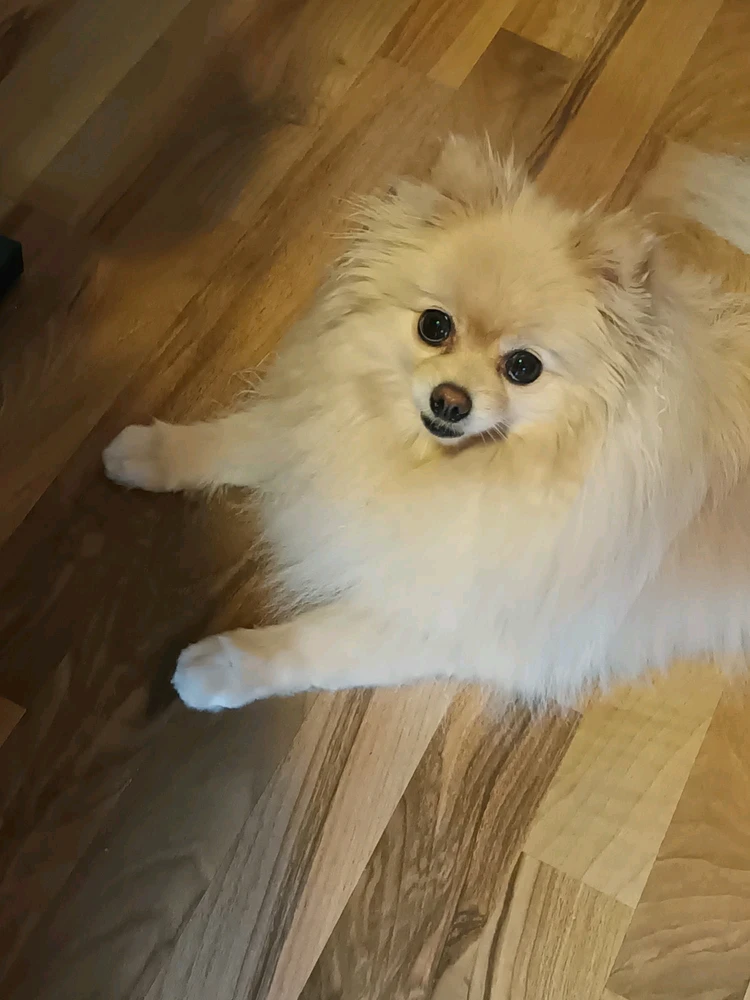 GIF hochgeladen von Michael