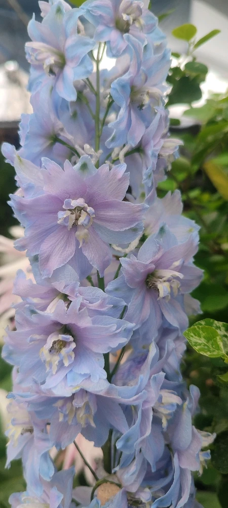 GIF subido por Javier Andrés