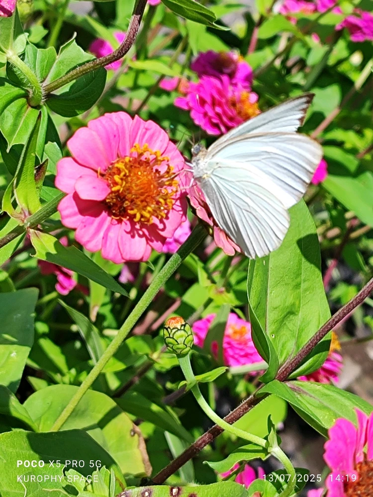 GIF uploaded by Diego José Alvarado García