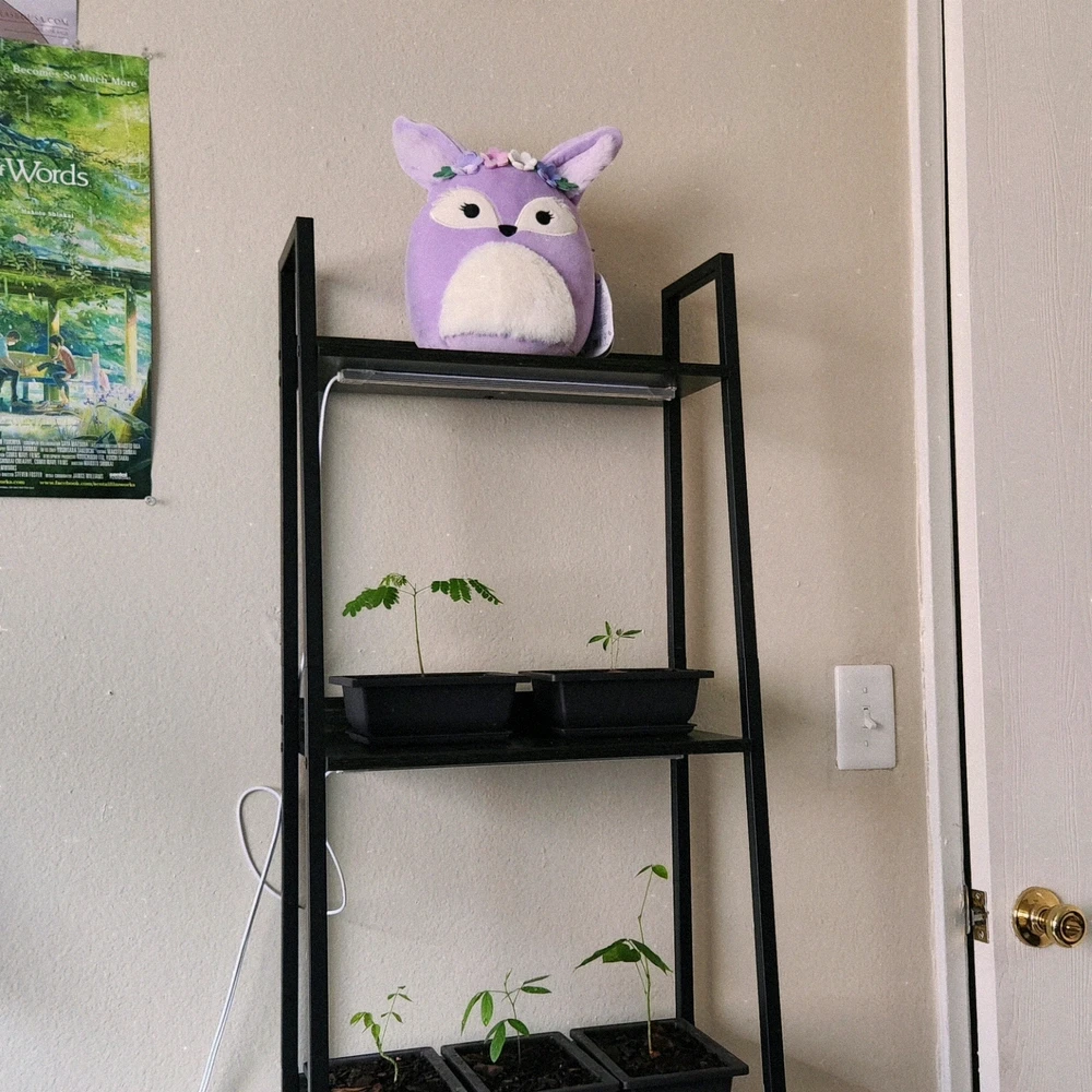 Gambar diunggah dening Cj