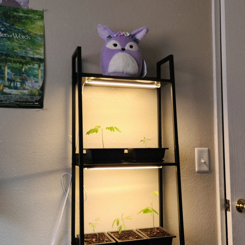 Gambar diunggah dening Cj