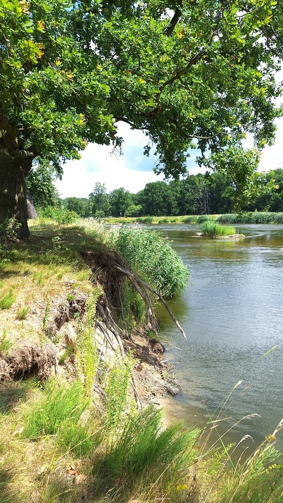 Zdjęcie dodane przez Kacper