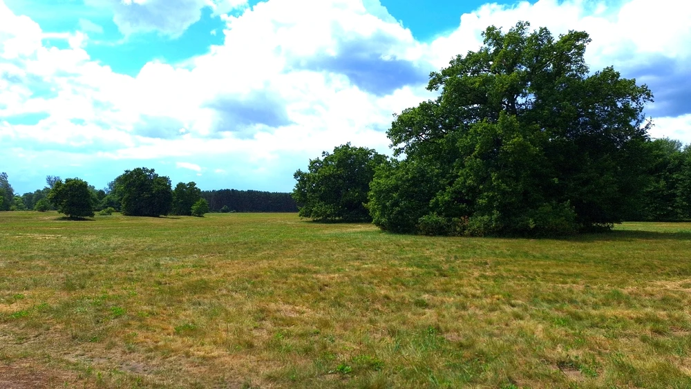 Zdjęcie dodane przez Kacper