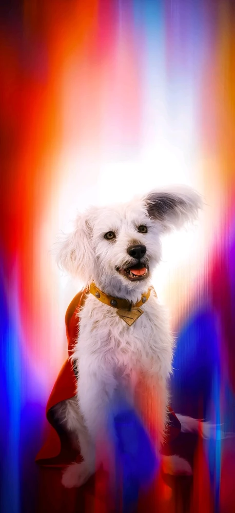 Imagen subida por Sebastián